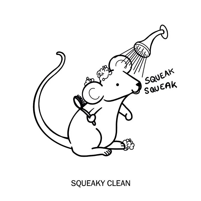 Squeaky Clean
