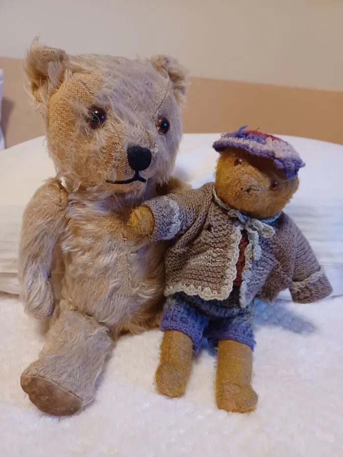 Two Old Guys. Bear 1 On The Right Is 97 And Bear 2 On The Left Is 65