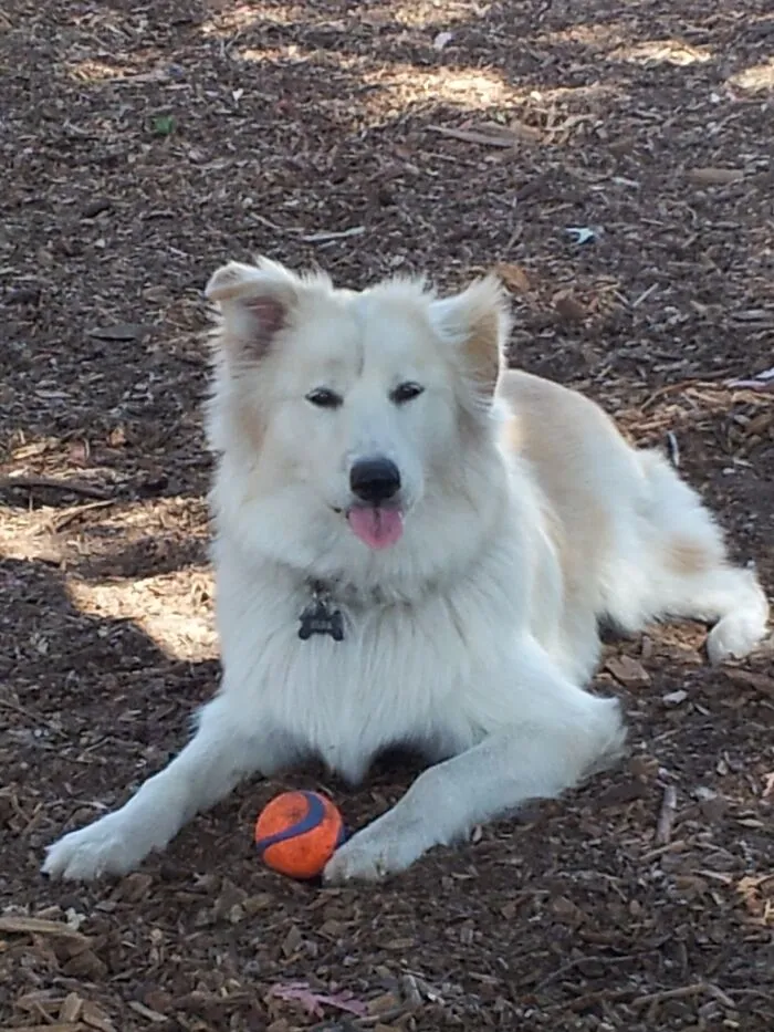 It's My Ball Now!