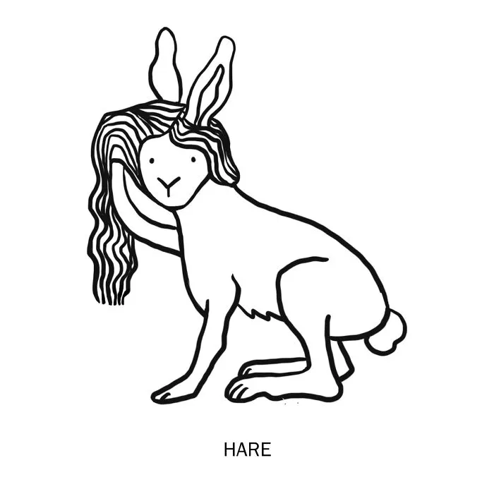 Hare
