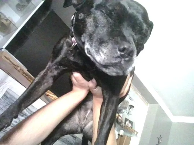 What's The Funniest Picture Of Your Pet You Have?