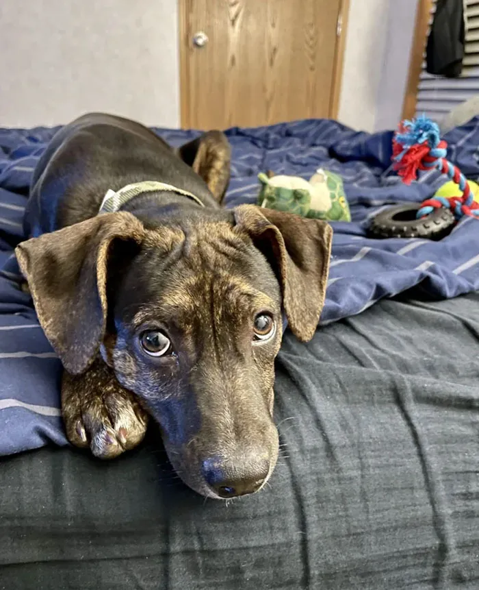 I Was Adopted And Today I Was Able To Pay It Forward