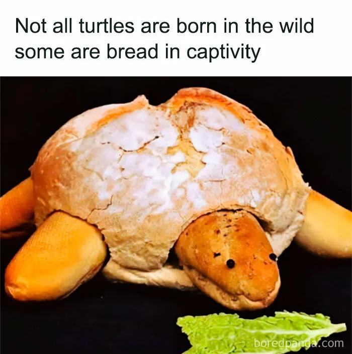 “This Is Not A Restaurant”: 50 Of The Funniest Food Memes Shared On ‘All You Can Eat’