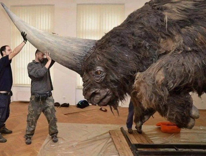 'siberian Unicorn’ Once Roamed Among Humans, Surviving In Eastern Europe And Western Asia Until At Least 39,000 Years Ago, Around The Same Time Of Neanderthals And Early Modern Humans