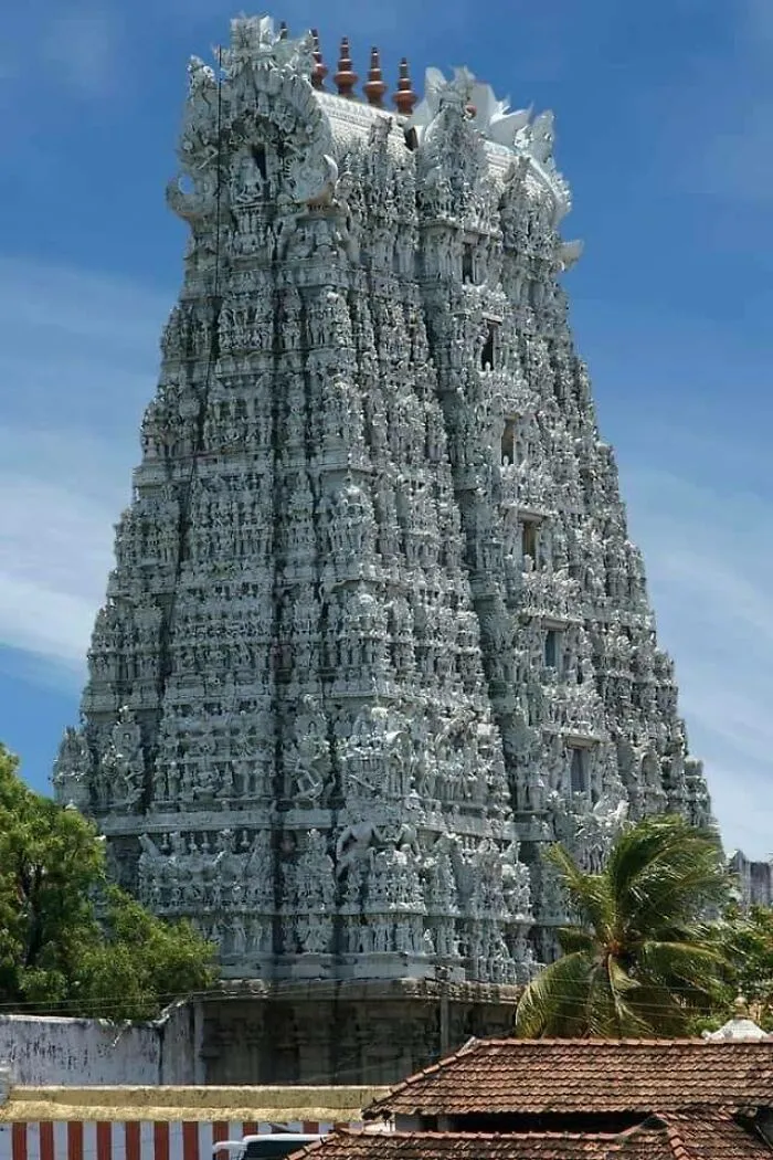 Believe It Or Not. There Are 100,000+ Carvings On The Gopura Of This Temple