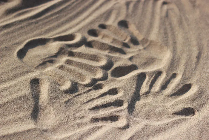 Hand prints in the sand