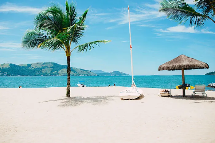 Beach with boat and palms