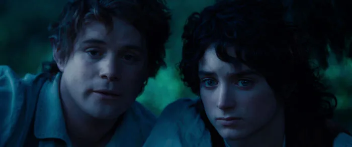 Frodo And Sam (The Lord Of The Rings)