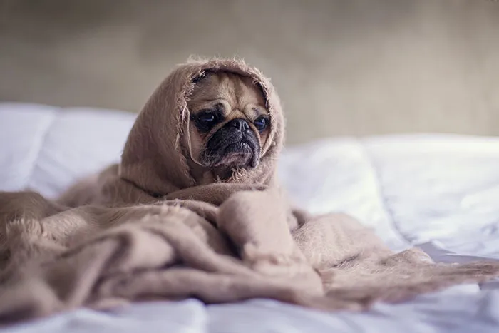 54 Best Things About Being Single, As Shared By People In This Online Community