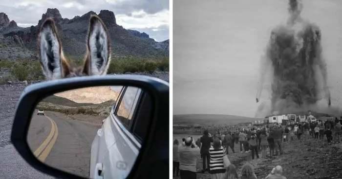 50 Of The Best Amusing Photos Shared On This Instagram Page With More Than 85K Followers