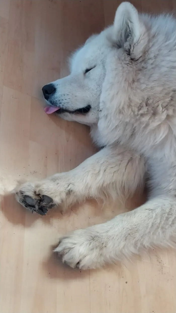 Sleepy Cloud