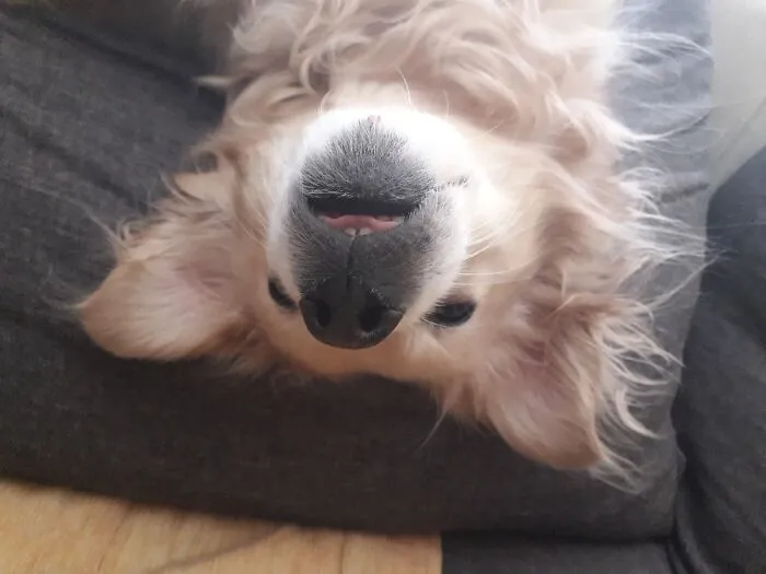 Does This Count?
