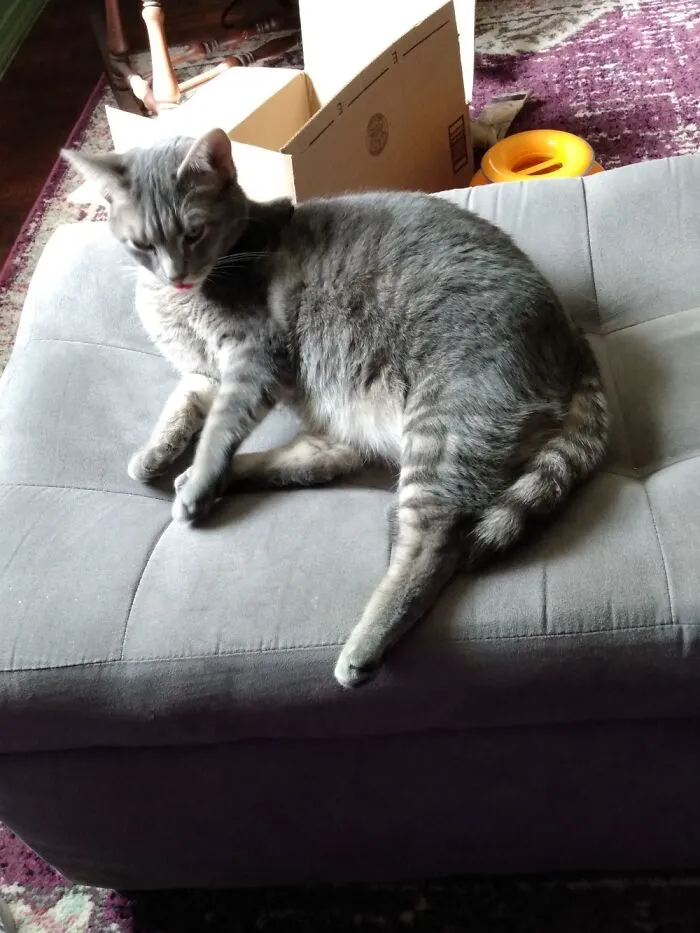 My Blepping Bouche Is My Happy Place