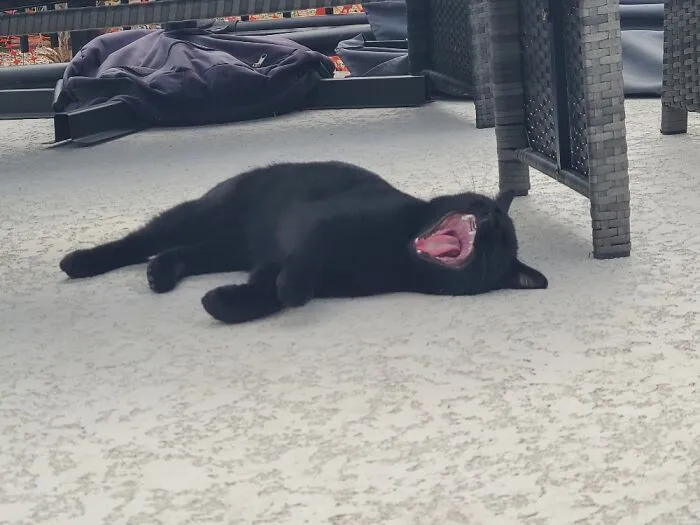 My Void