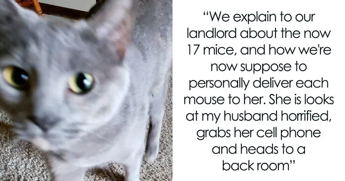 Maintenance Asks Tenant To Provide “Proof” Of Mouse Infestation By Bringing What They Catch To The Main Office, They Maliciously Comply