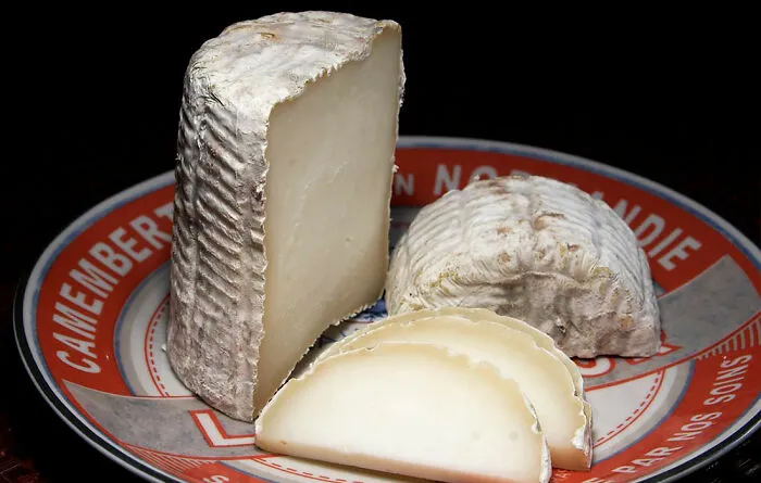 Cheese Produces A Mild Opiate-Like Effect In The Body