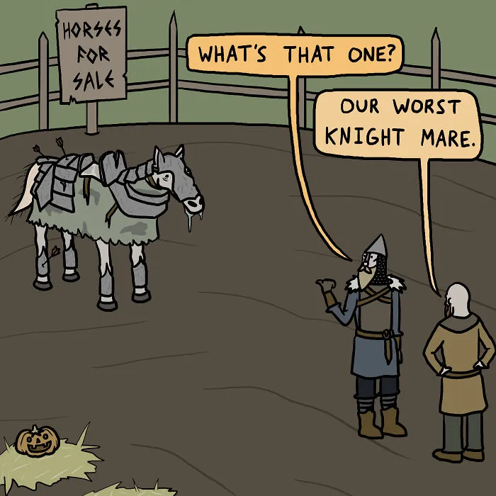 Horses For Sale