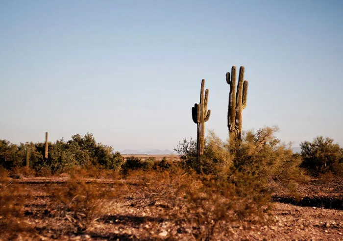 “Nobody Lives There”: 30 Americans Reveal The Most Brutal And Hilarious Stereotypes They Hold About Each State