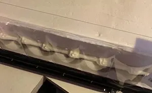 Costco Flat-Out Hands Woman Blank Cake, Supposedly Refusing To Color It As Per Her Order Due To Copyright, Expects Her To Just Accept It