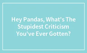 Hey Pandas, What's The Stupidest Criticism You've Ever Gotten? (Closed)