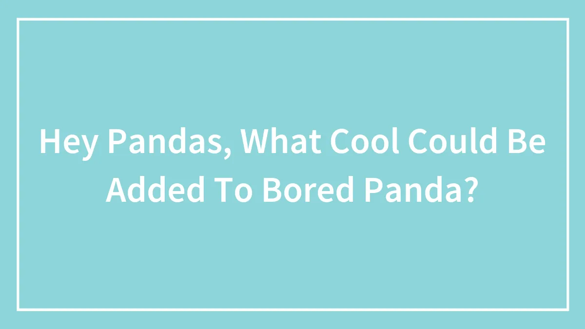 Hey Pandas, What Cool Could Be Added To Bored Panda? (Closed)