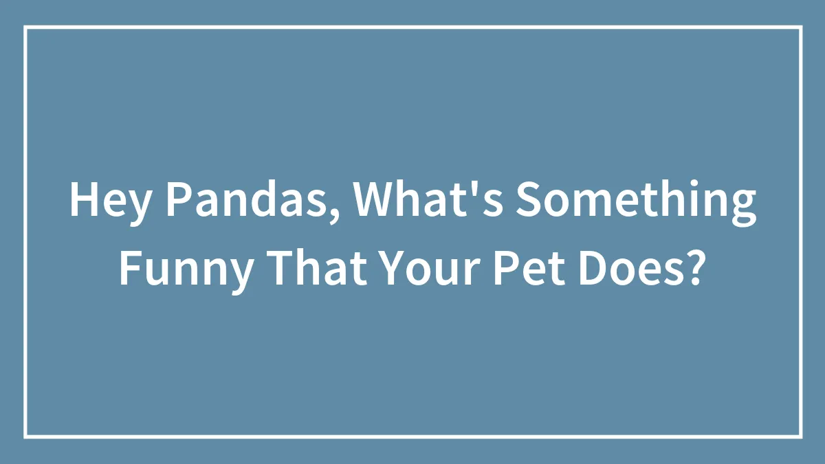 Hey Pandas, What's Something Funny That Your Pet Does? (Closed)