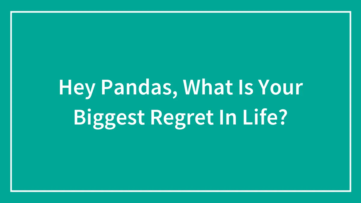 Hey Pandas, What Is Your Biggest Regret In Life? (Closed)