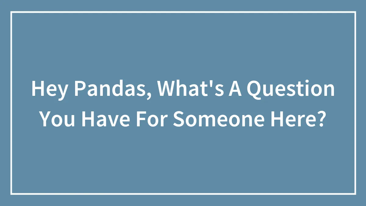 Hey Pandas, What's A Question You Have For Someone Here?
