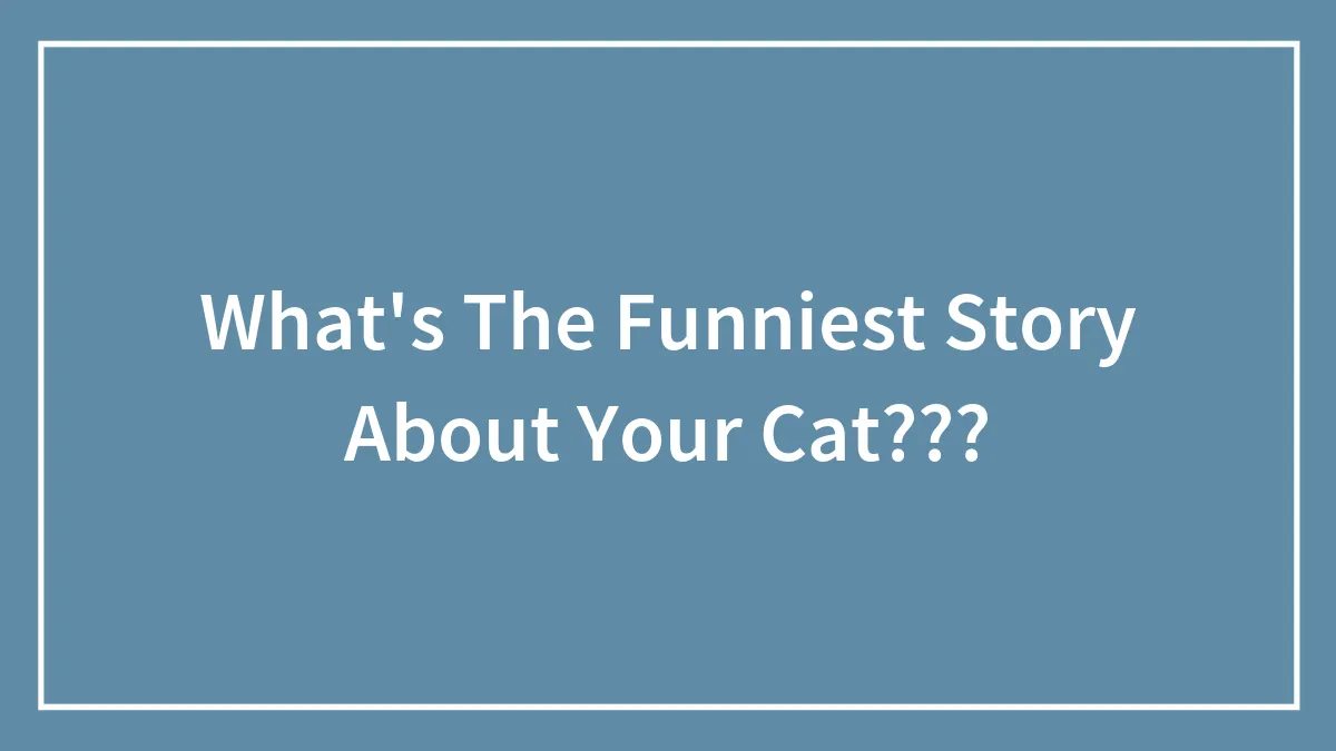 What's The Funniest Story About Your Cat???