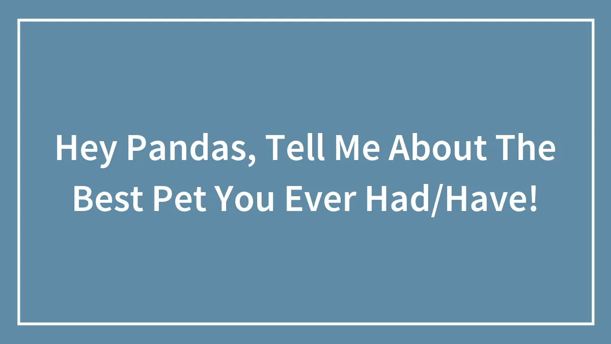 Hey Pandas, Tell Me About The Best Pet You Ever Had/Have!