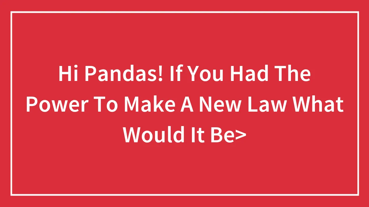 Hi Pandas! If You Had The Power To Make A New Law What Would It Be>