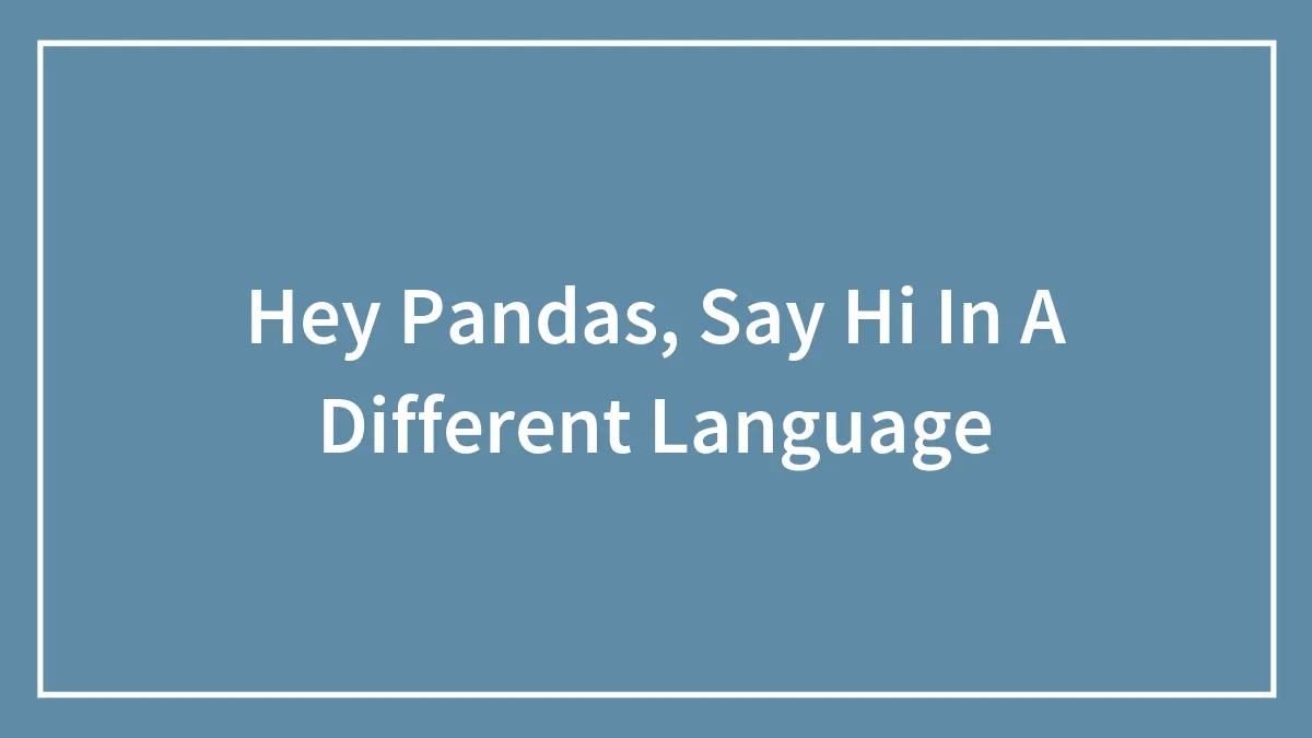 Hey Pandas, Say Hi In A Different Language