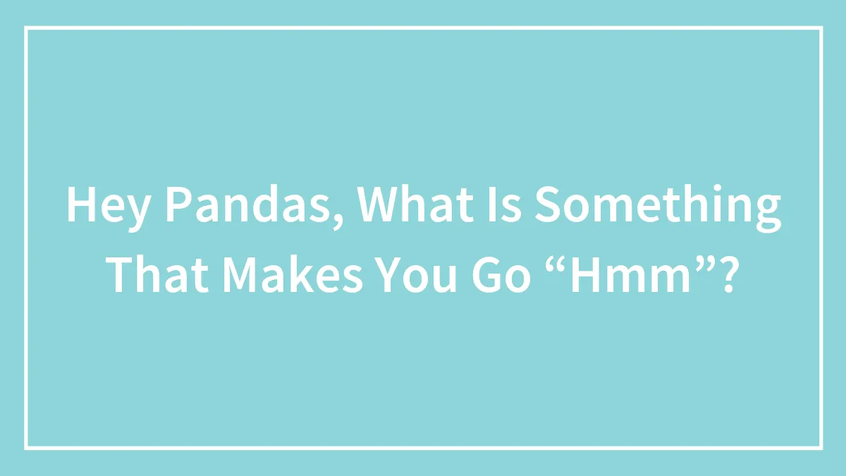 Hey Pandas, What Is Something That Makes You Go “Hmm”?
