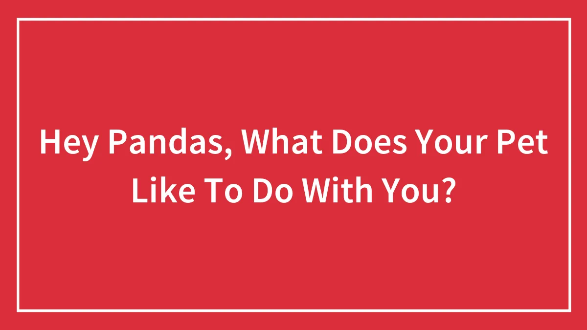 Hey Pandas, What Does Your Pet Like To Do With You? (Closed)