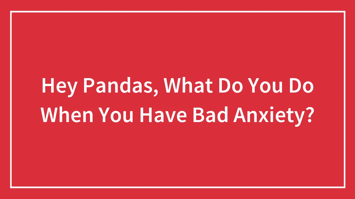Hey Pandas, What Do You Do When You Have Bad Anxiety? (Closed)