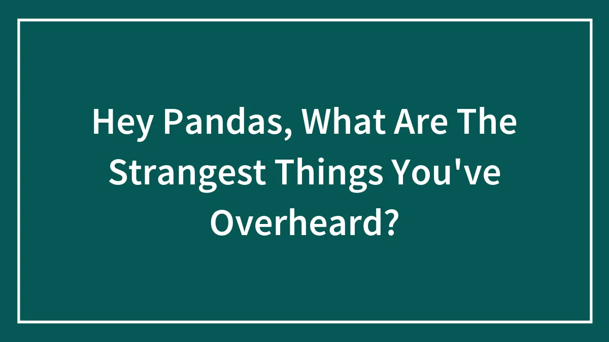 Hey Pandas, What Are The Strangest Things You've Overheard? (Closed)