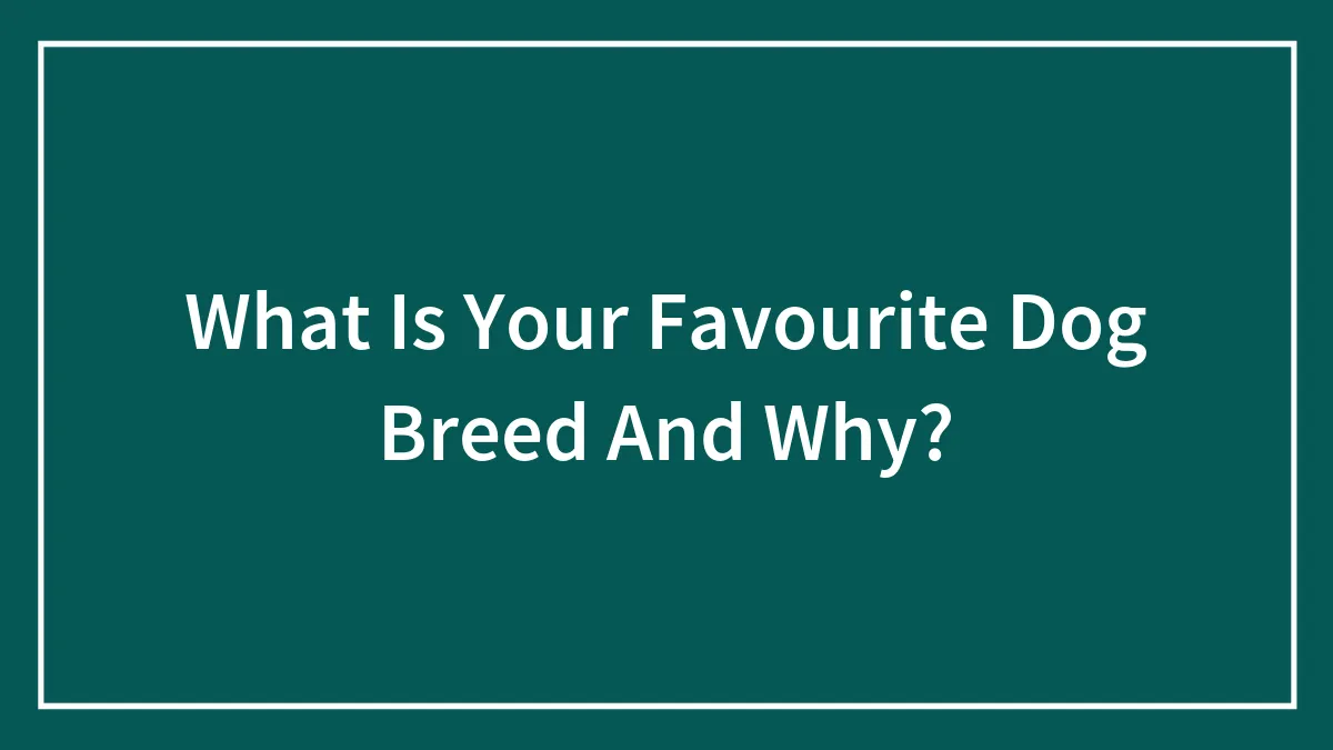 What Is Your Favourite Dog Breed And Why?