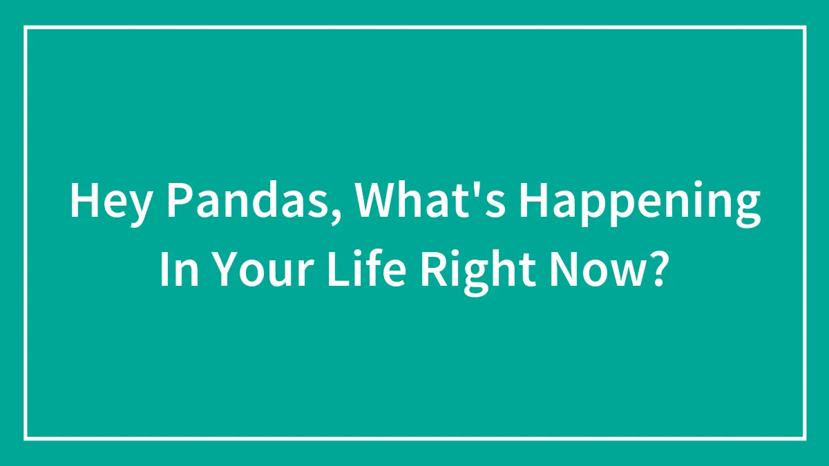 Hey Pandas, What's Happening In Your Life Right Now? (Closed)