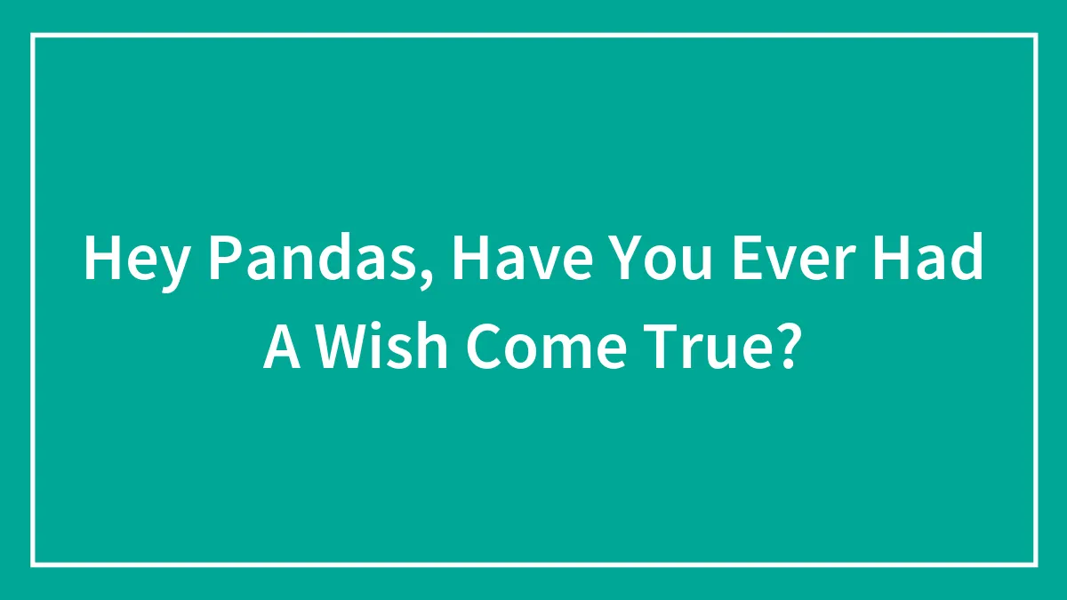 Hey Pandas, Have You Ever Had A Wish Come True?
