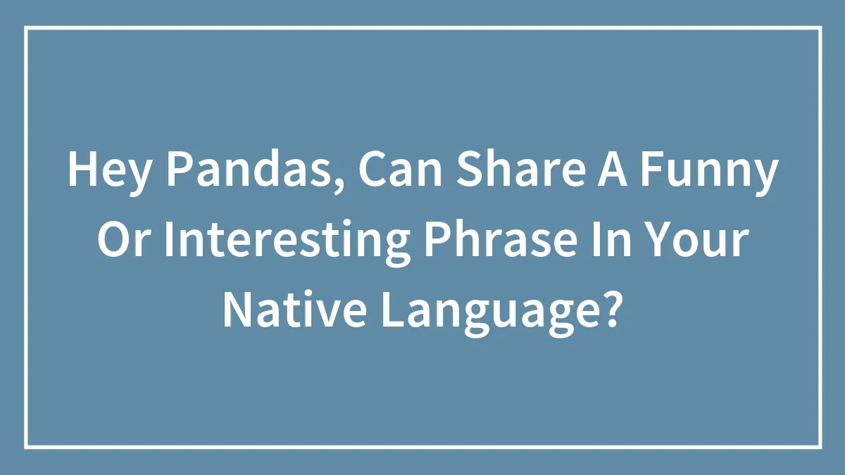 Hey Pandas, Can Share A Funny Or Interesting Phrase In Your Native Language? (Closed)