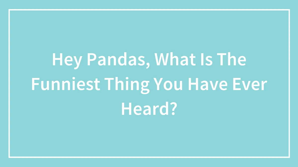 Hey Pandas, What Is The Funniest Thing You Have Ever Heard? (Closed)