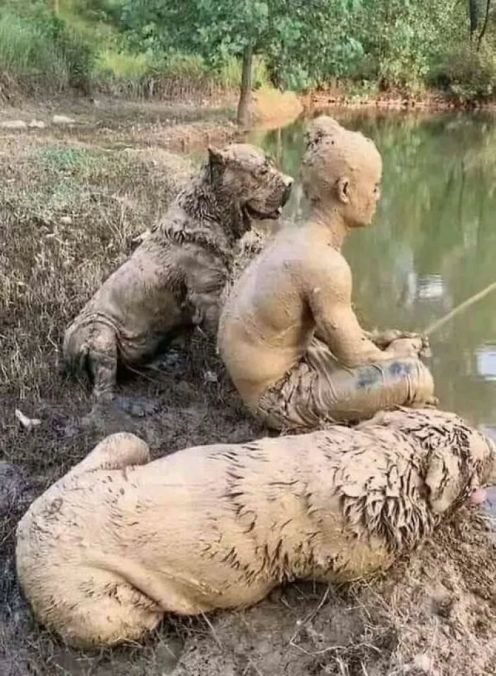 50 Fotos cómicas y extrañas de animales en lugares «donde no deberían estar» (nuevas imágenes)