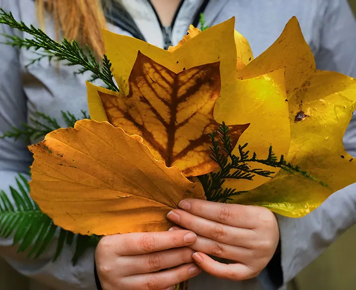 Show Off Bouquet Alternatives