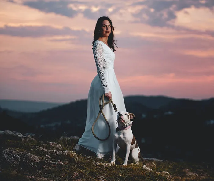 Give Your Pet A Grand Entrance
