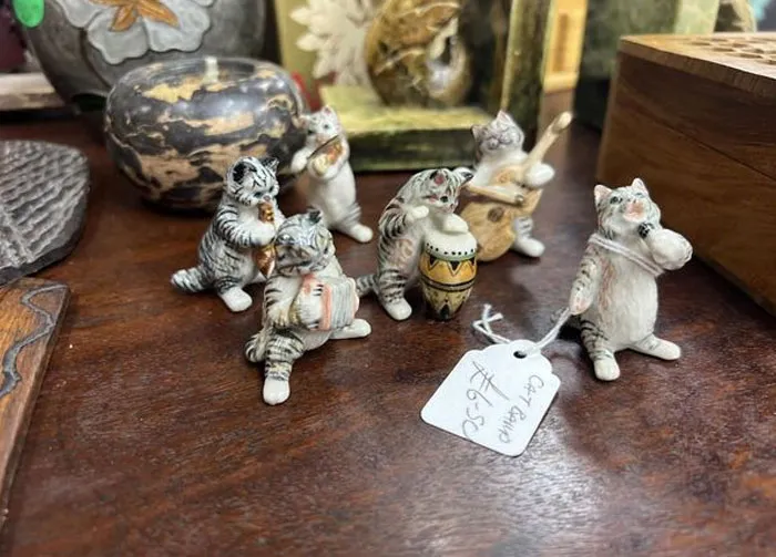 Banda de gatos en la tienda de caridad de Jane, también en Romsey