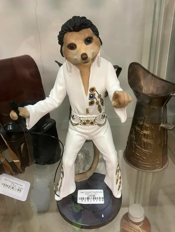 Sí, un suricato Elvis. Y estaba en la vitrina, así que valía bastante...