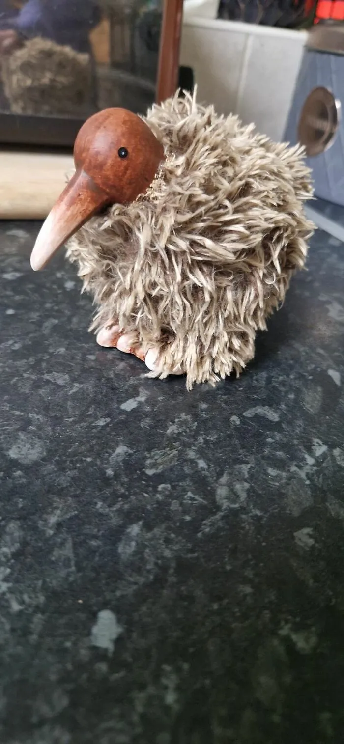 Mi pareja se fue hoy de compras a una tienda benéfica y volvió a casa con esto. Lo ha llamado Cuthbert. Age UK Wolverhampton