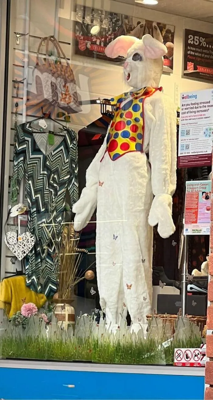 ¿Conejo de Pascua en un chaleco de Mr Tumble ¿Alguien lo quiere? Disponible en Salvation Army Newmarket