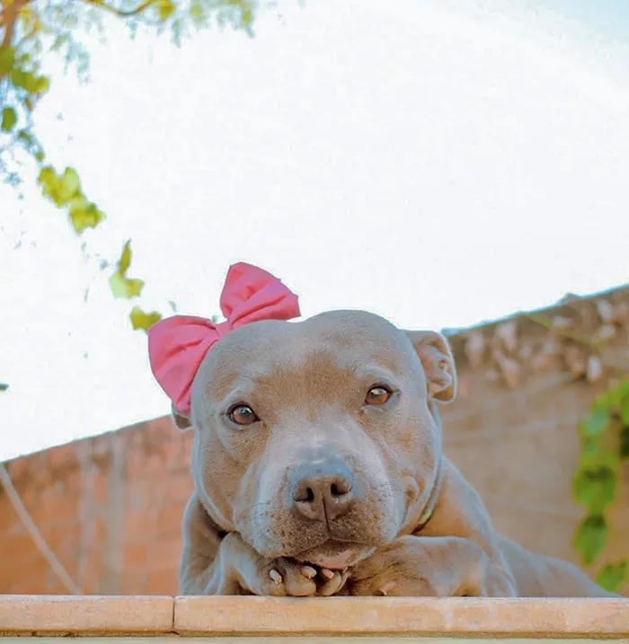 You Can't Tell Her She’s Not Beautiful