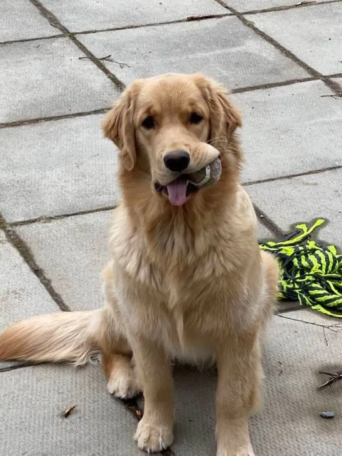 Is There Something Stuck In My Teef?